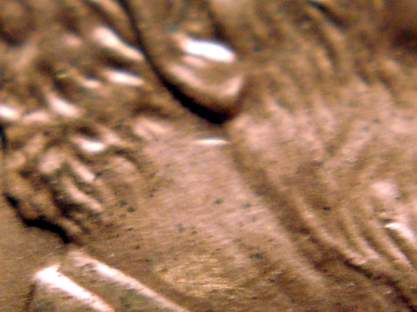 2005-P-1-DR-019